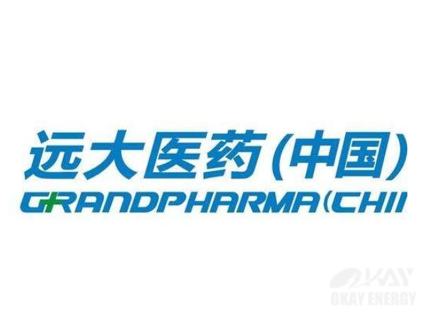 遠(yuǎn)大醫(yī)藥