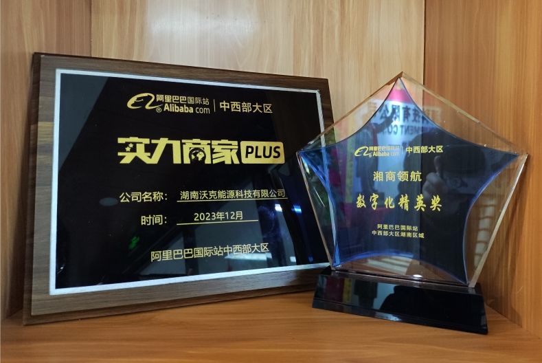 乘風(fēng)破浪,逆勢出海|沃克能源獲阿里巴巴中西部大區(qū)數(shù)字化精英獎！