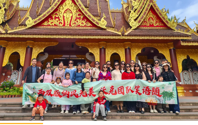 西雙版納風(fēng)光美 沃克團隊笑語隨 | 2025沃克能源西雙版納旅游活動